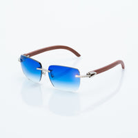 Vision Optik