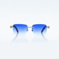 Vision Optik