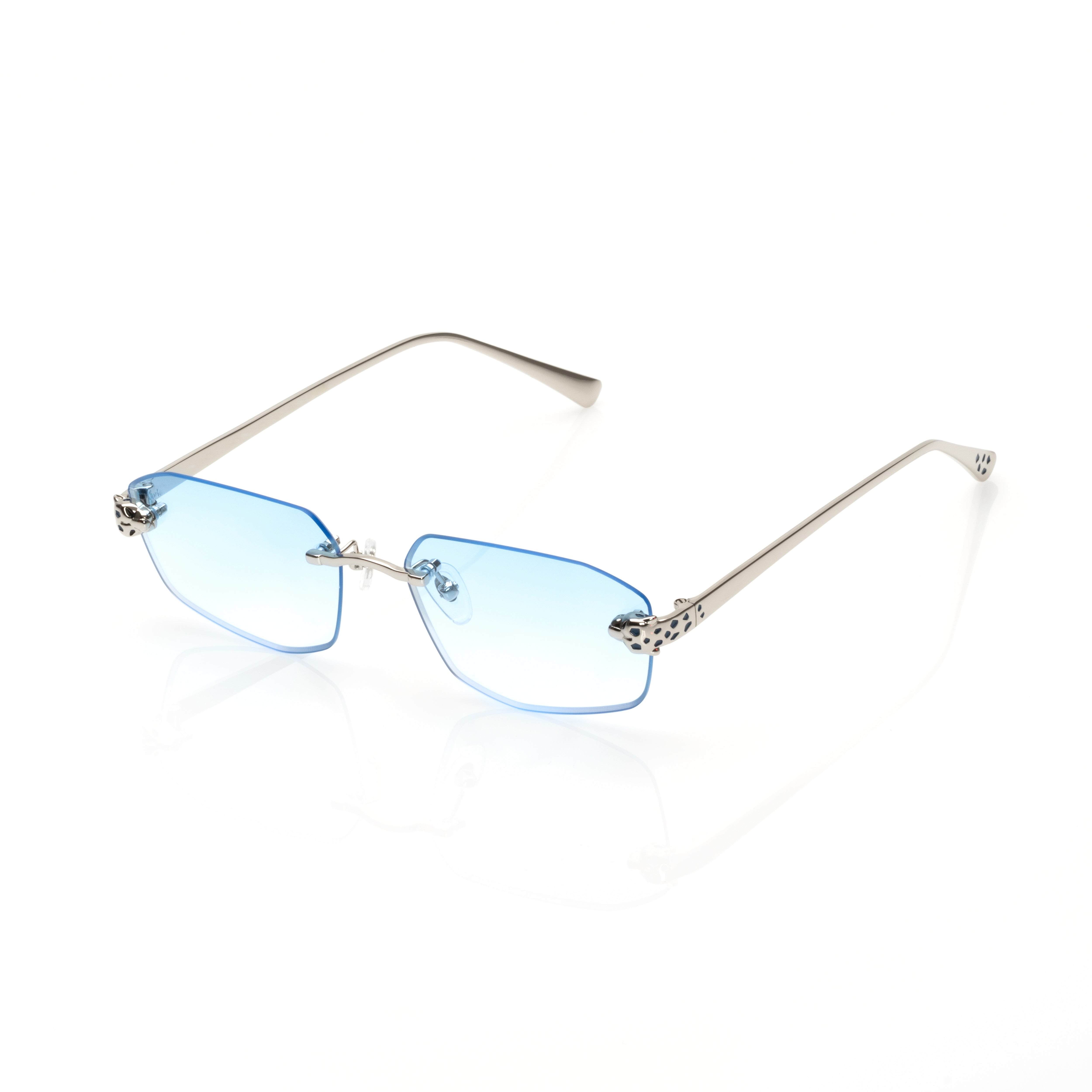 Vision Optik
