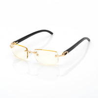 Vision Optik