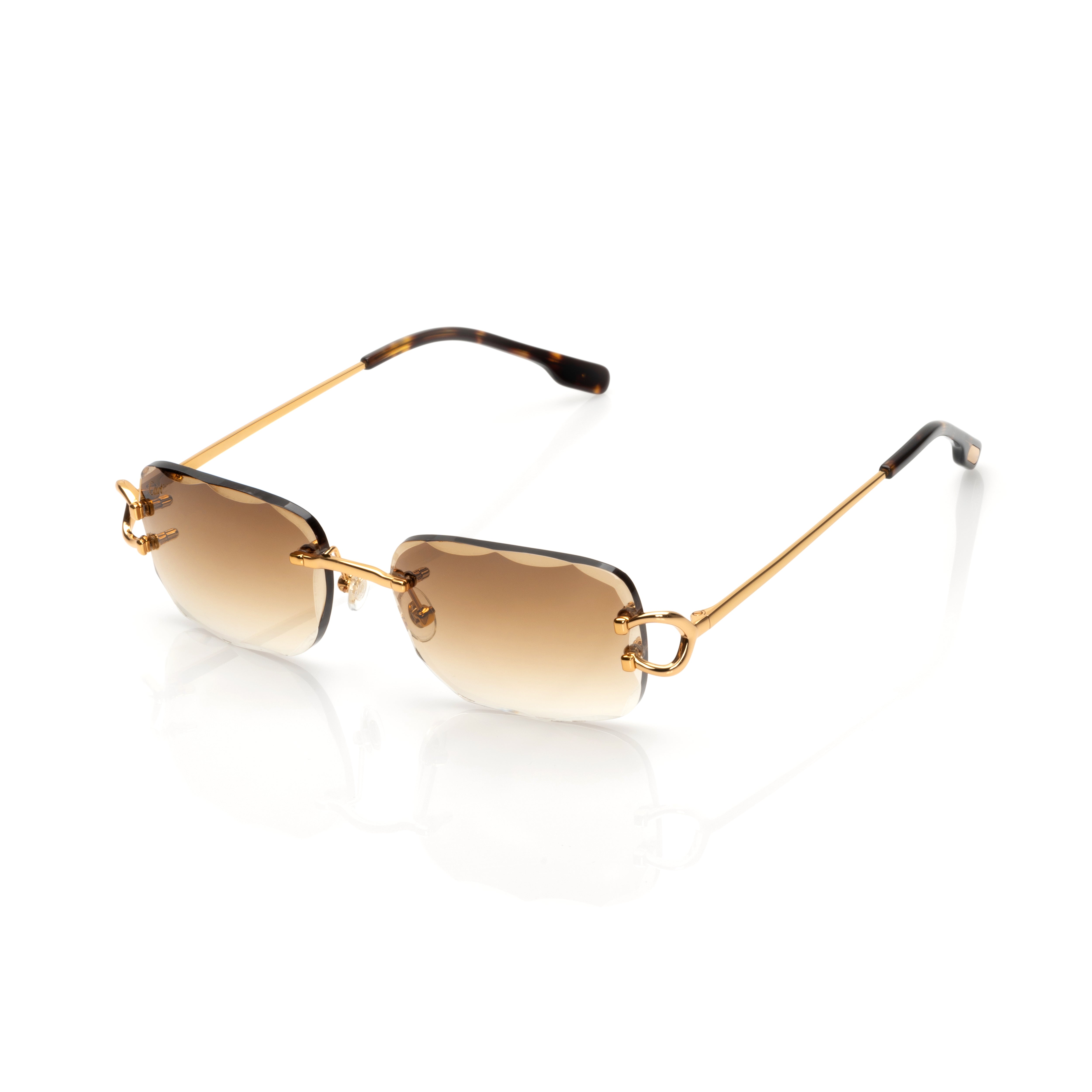 Vision Optik