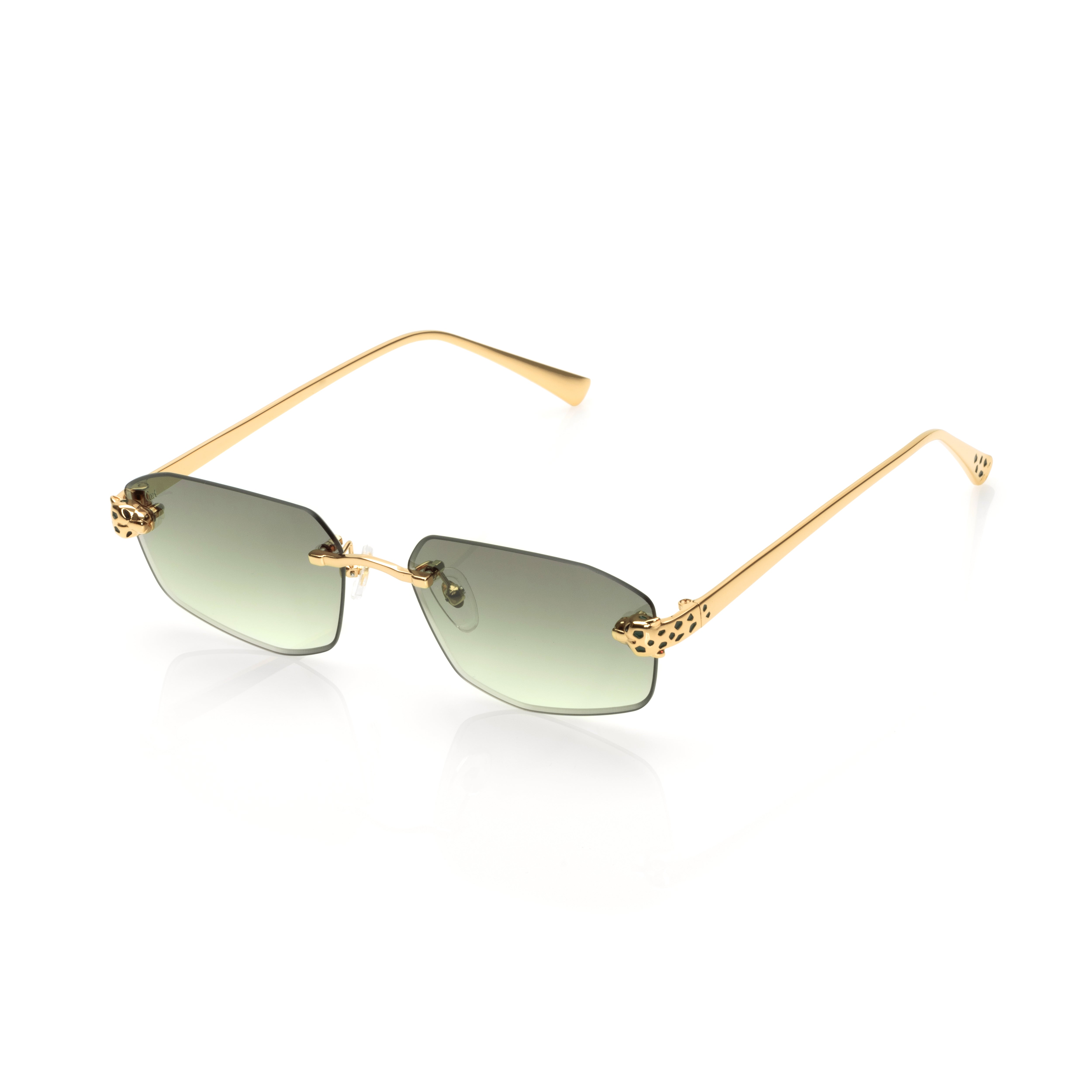 Vision Optik