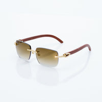 Vision Optik