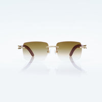 Vision Optik