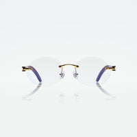 Vision Optik