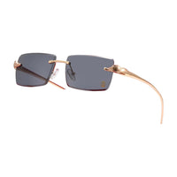 Vision Optik