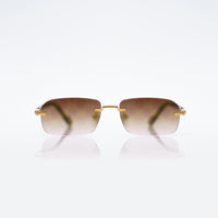 Vision Optik