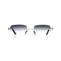 Vision Optik