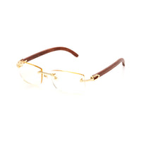 Vision Optik