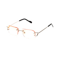 Vision Optik