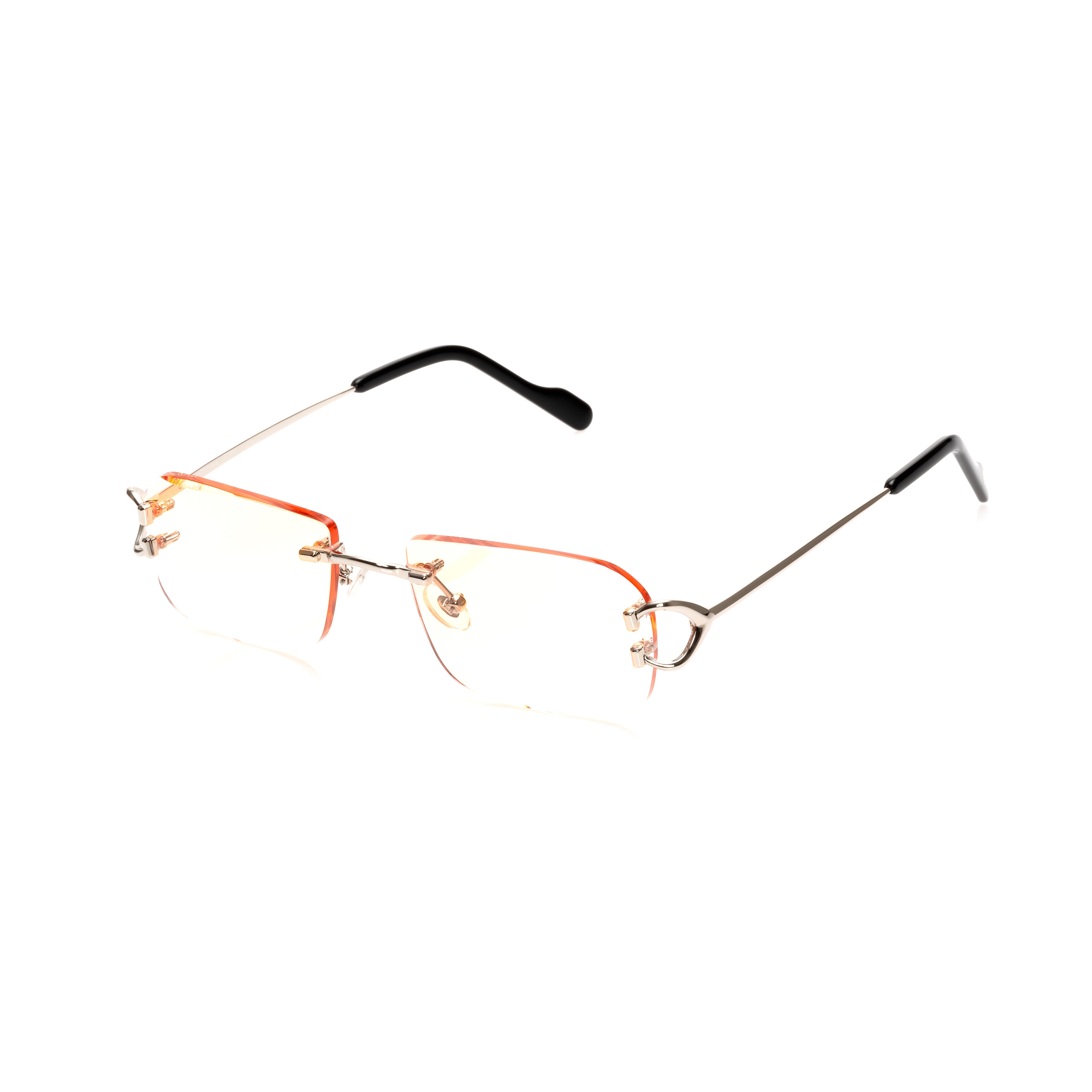 Vision Optik