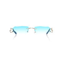 Vision Optik