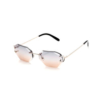 Vision Optik