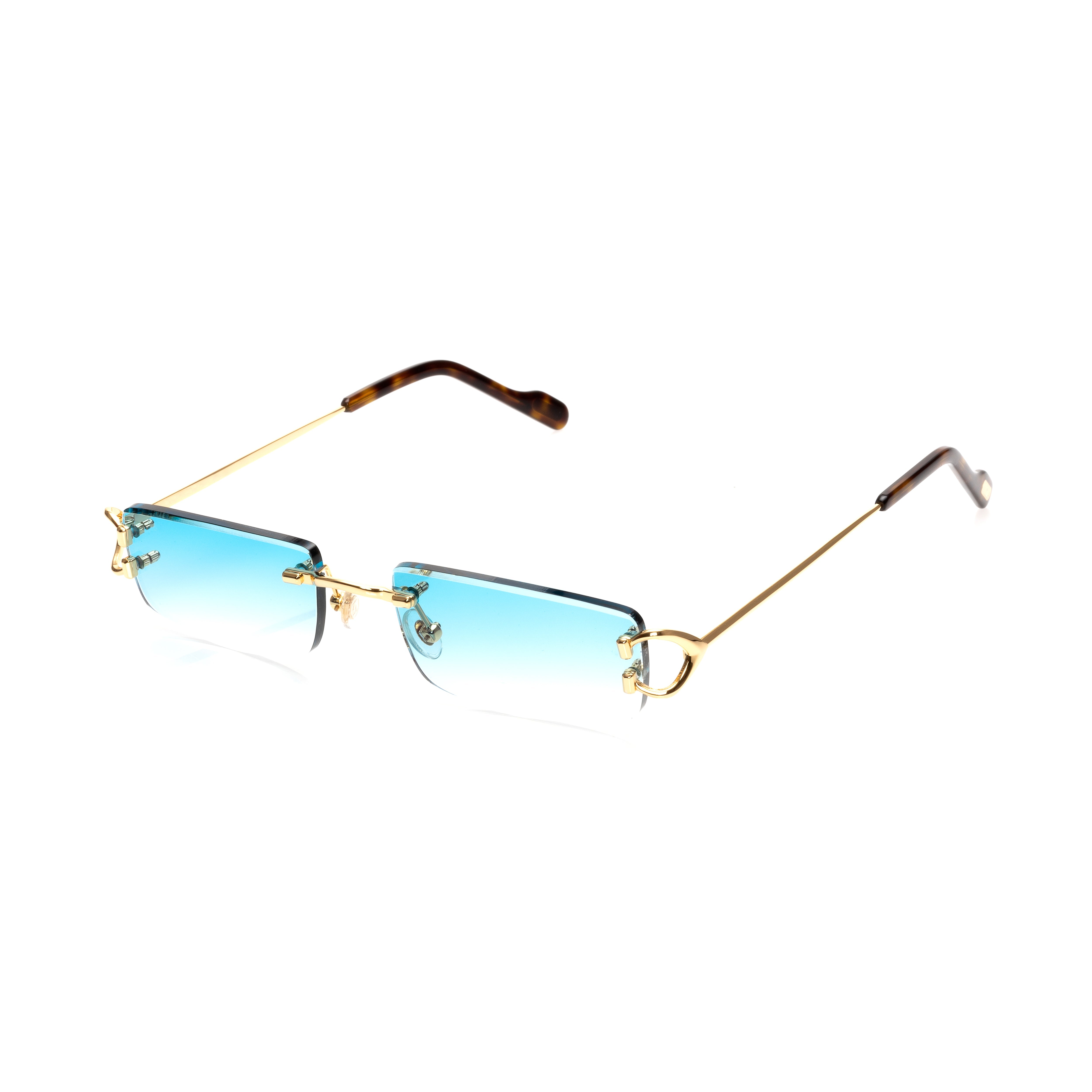 Vision Optik