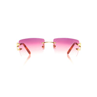 Vision Optik