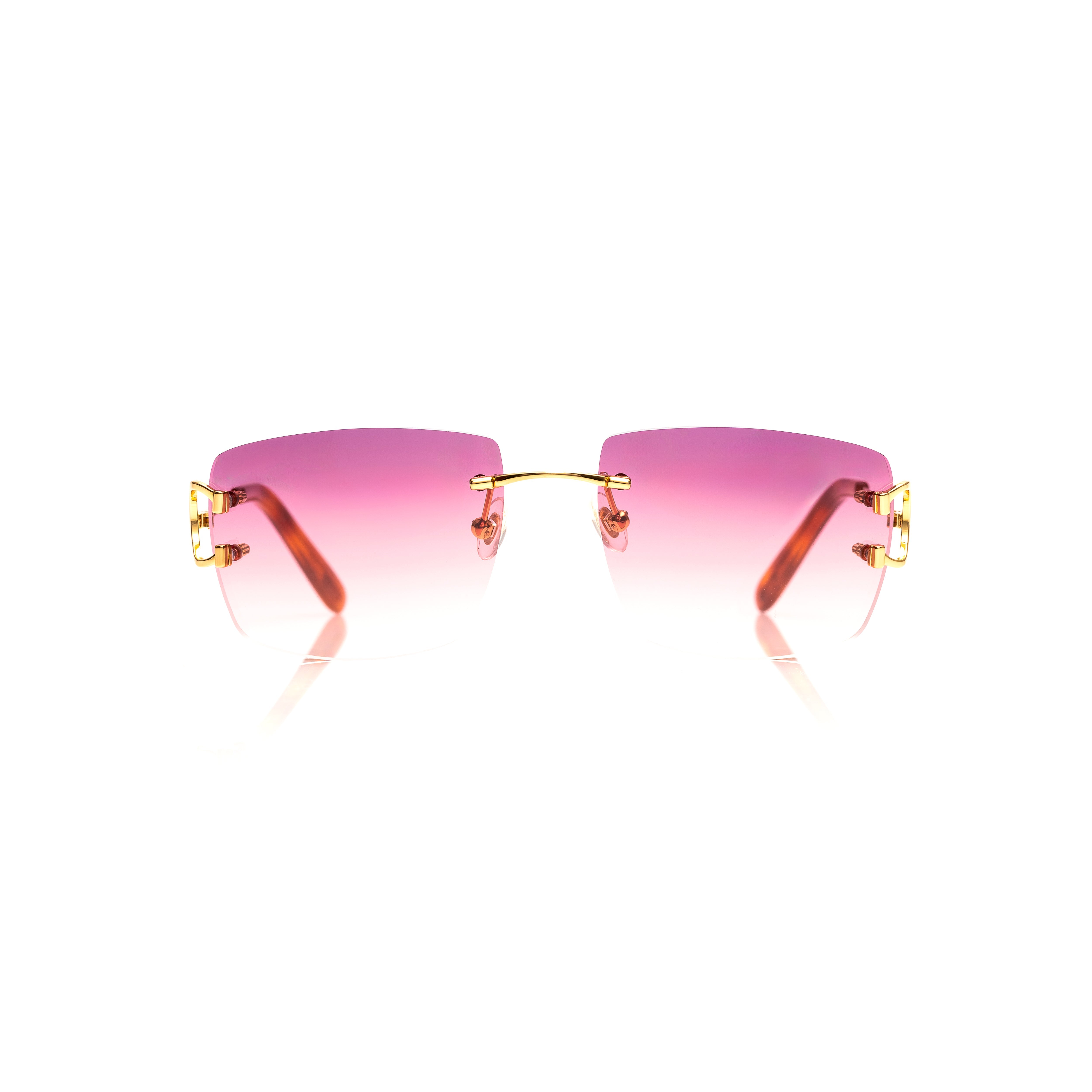 Vision Optik