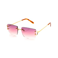 Vision Optik