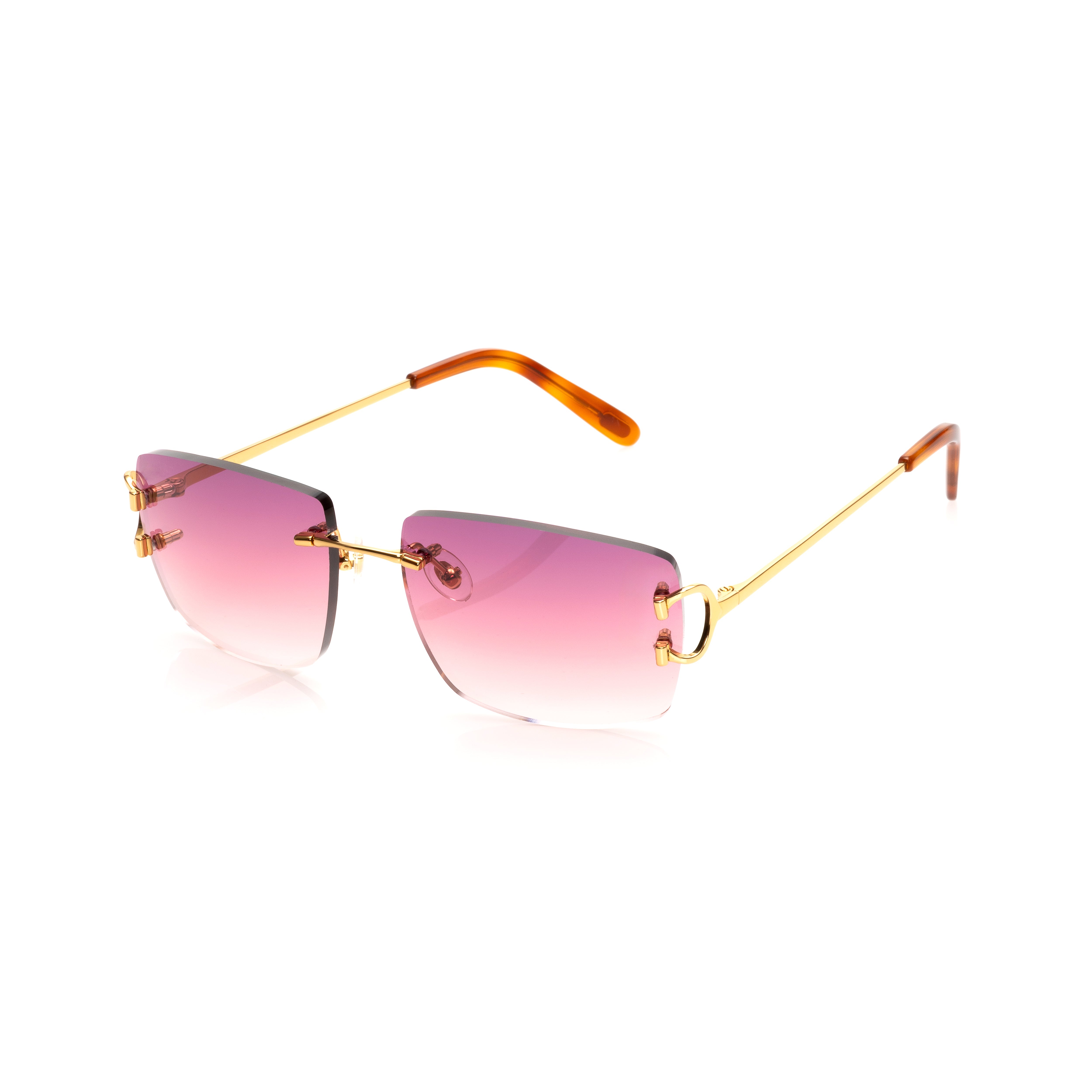 Vision Optik