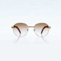 Vision Optik