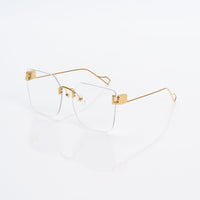 Vision Optik