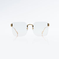 Vision Optik