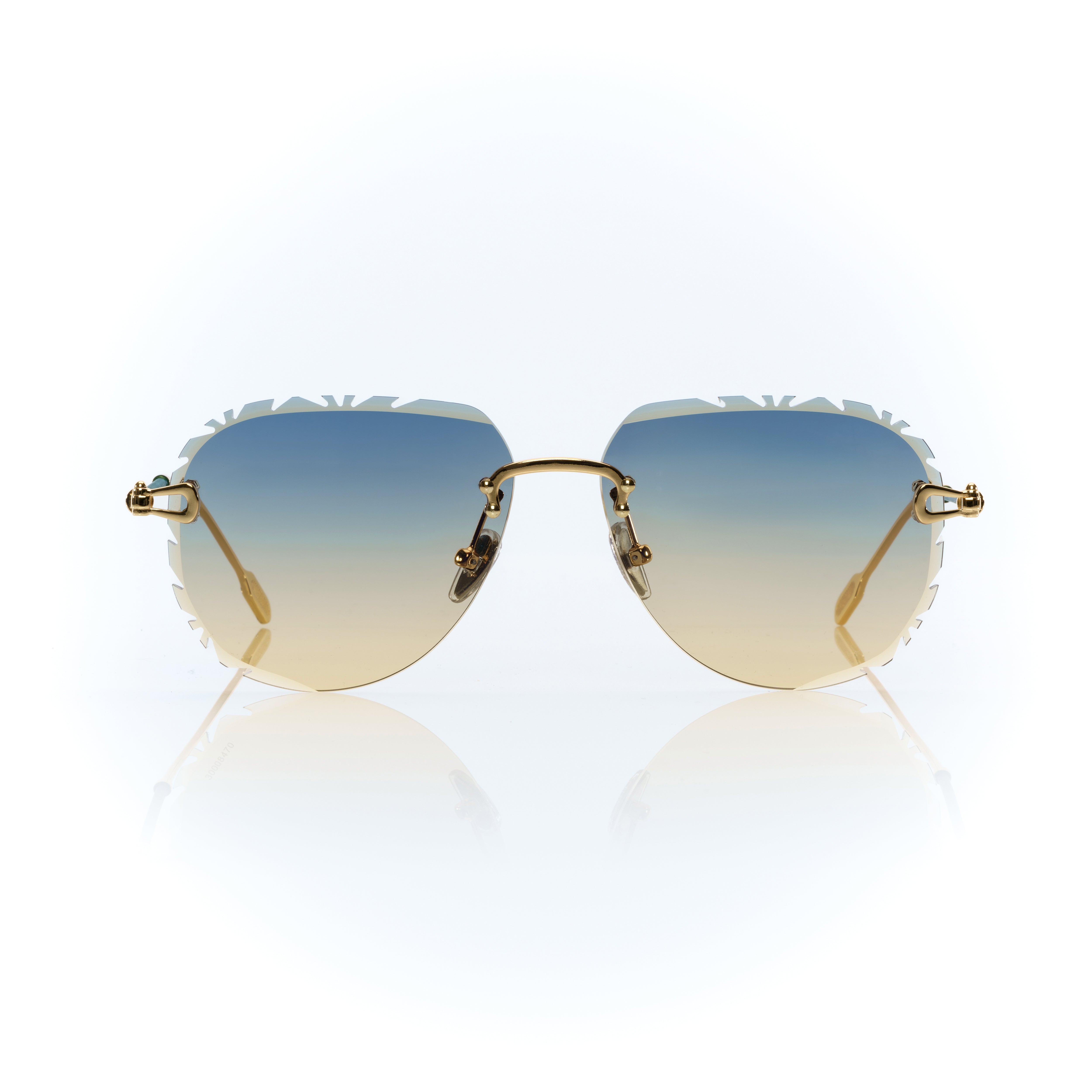 Vision Optik