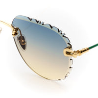 Vision Optik