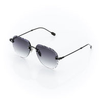 Vision Optik