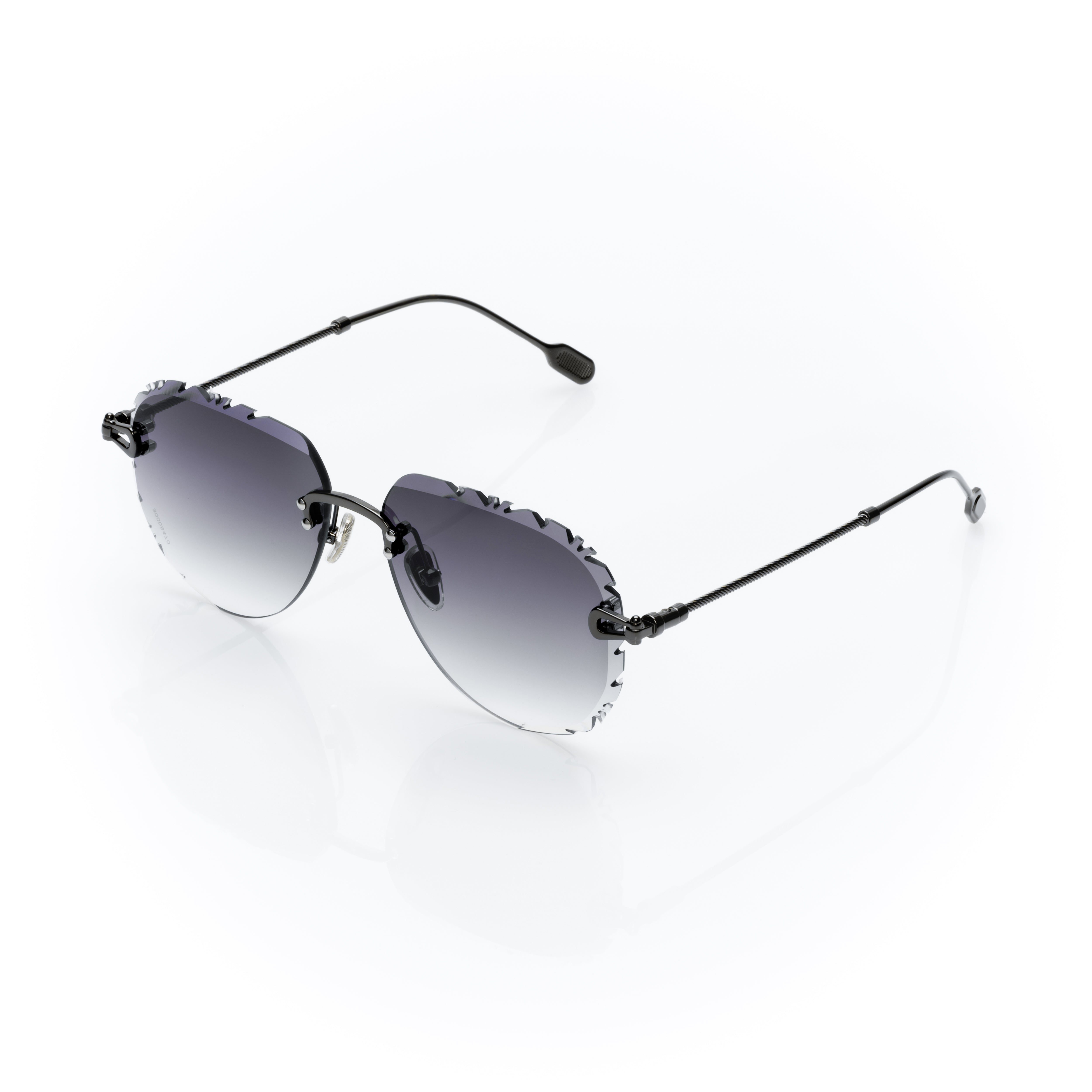 Vision Optik