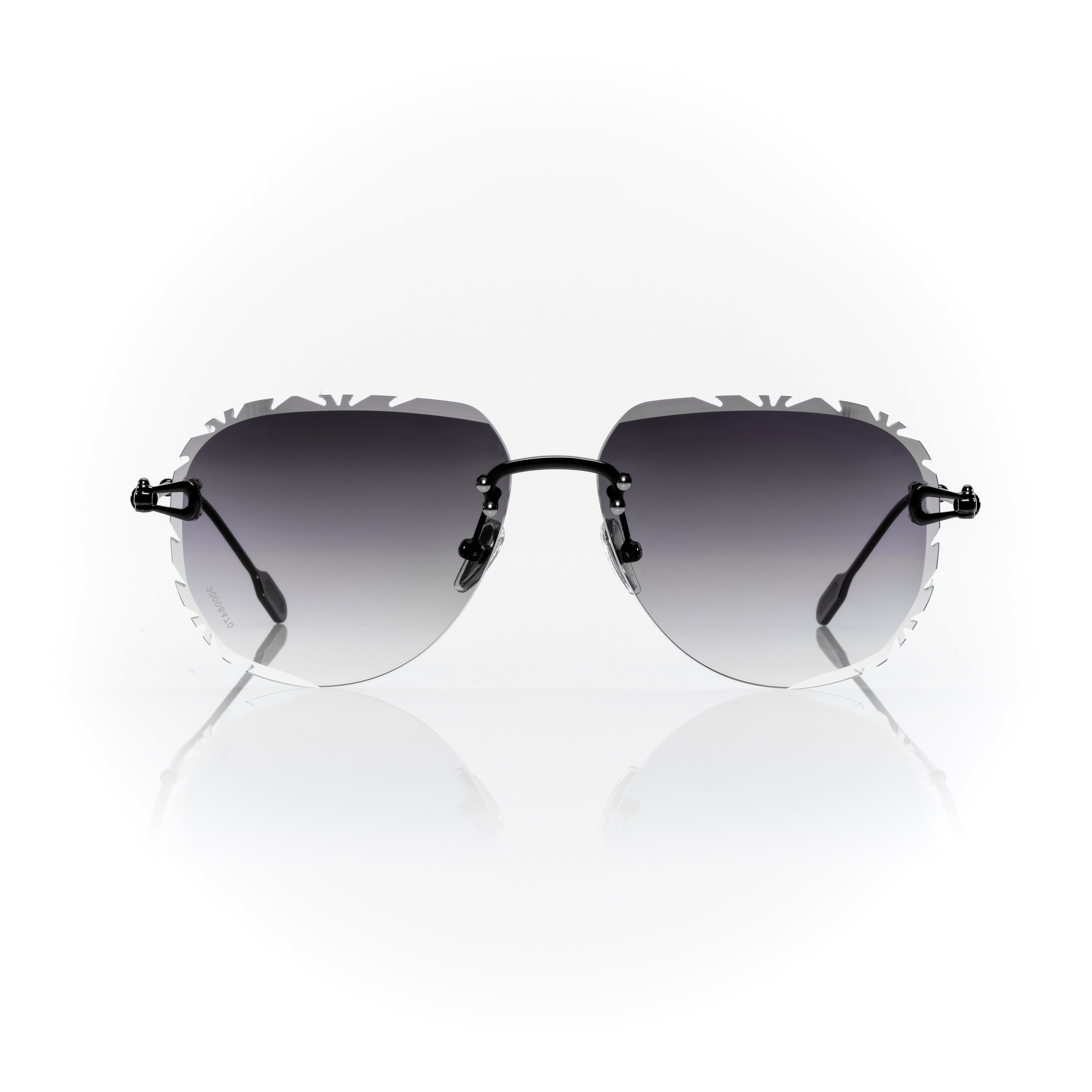 Vision Optik