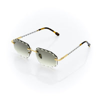 Vision Optik