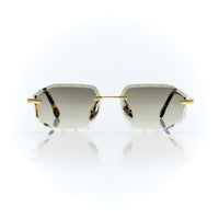Vision Optik