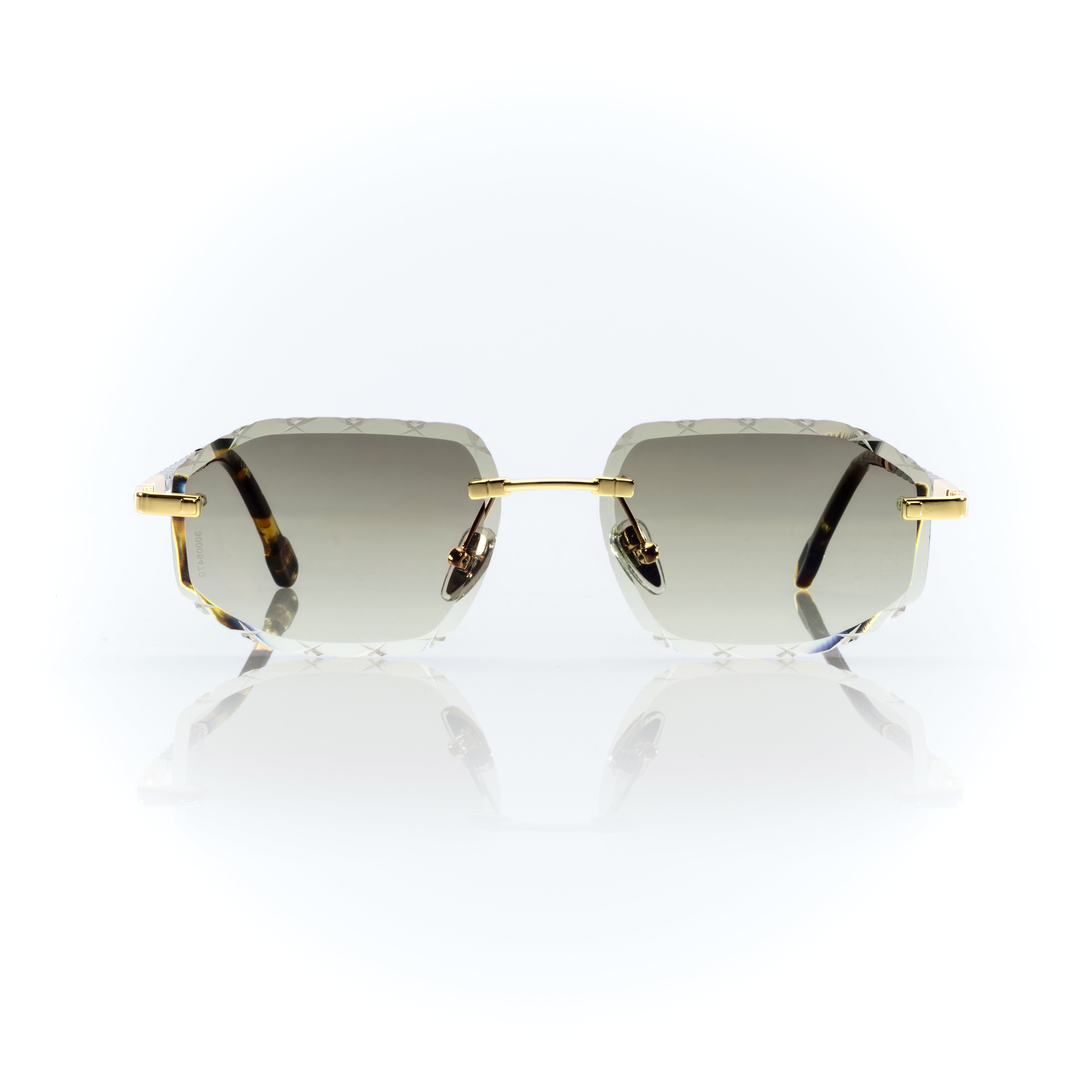 Vision Optik