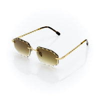 Vision Optik