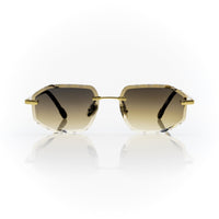 Vision Optik
