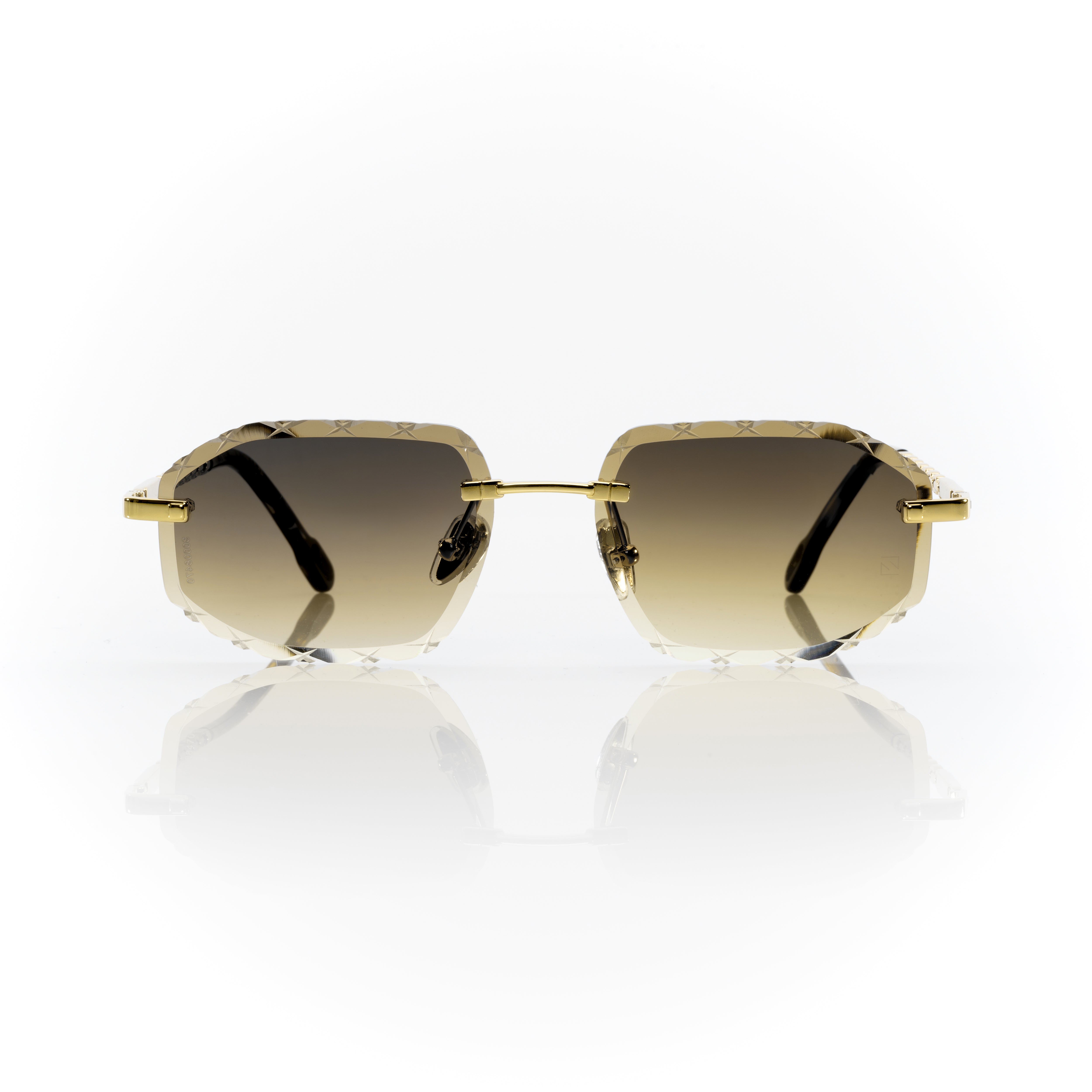 Vision Optik