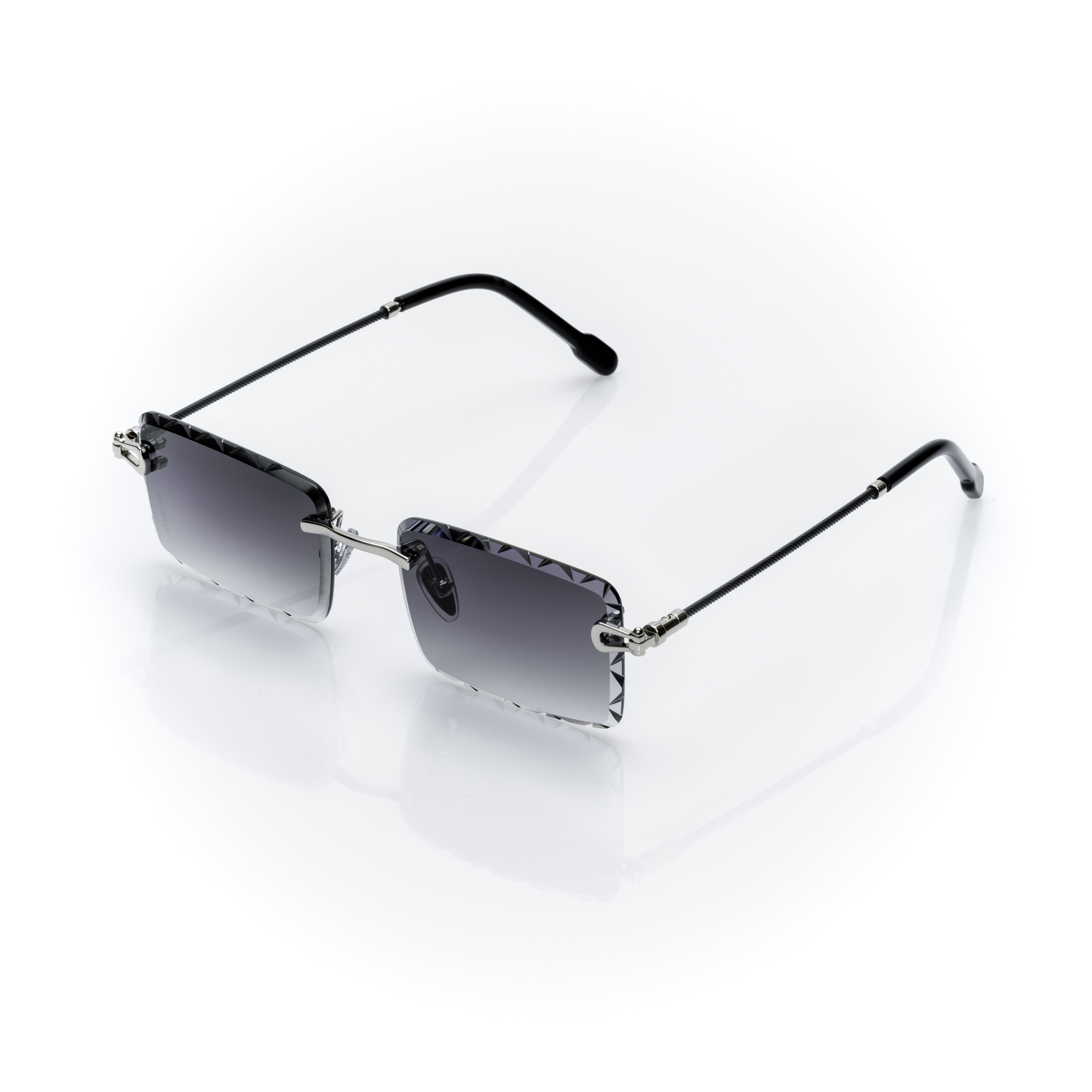 Vision Optik