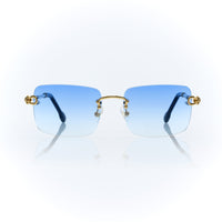Vision Optik