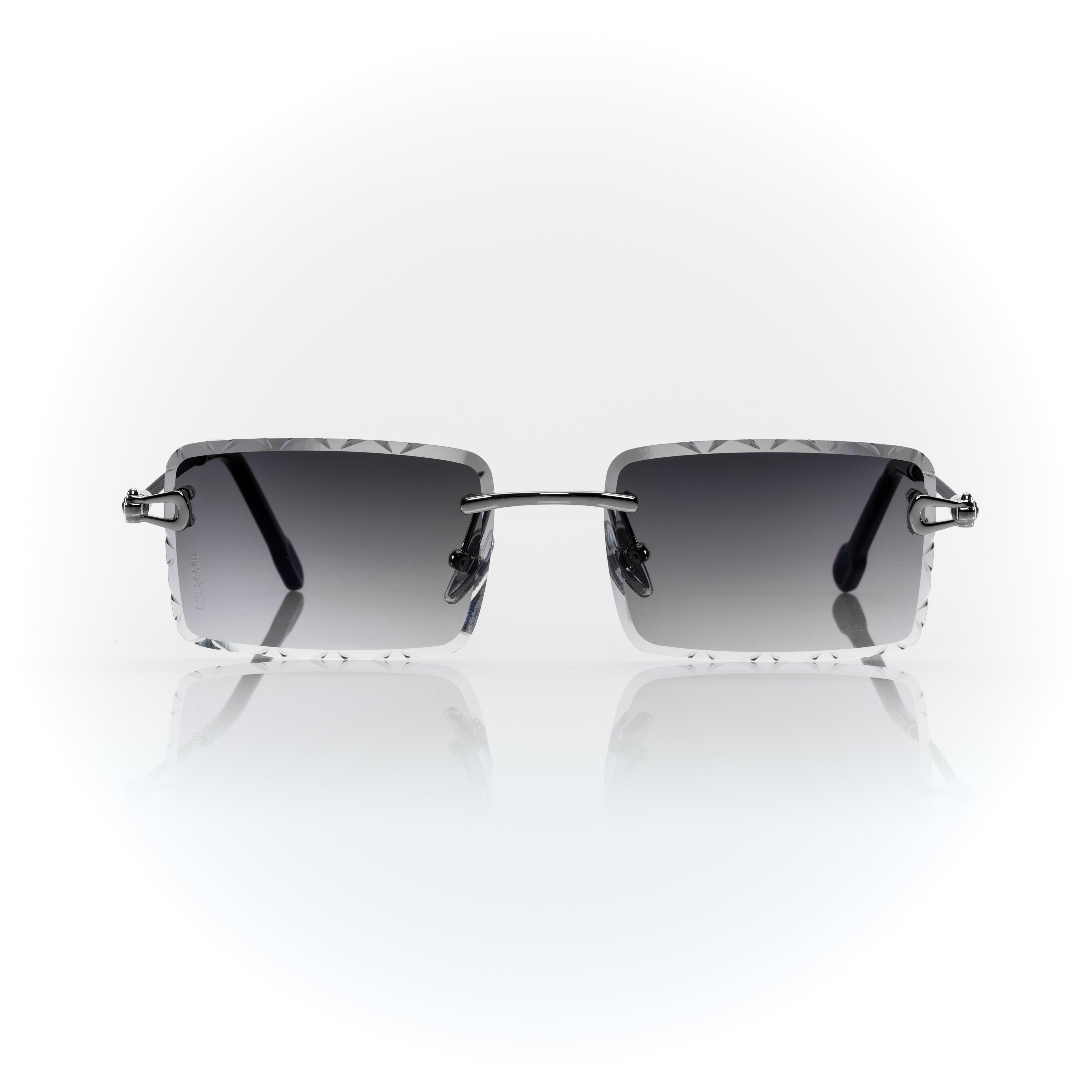 Vision Optik