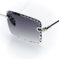 Vision Optik