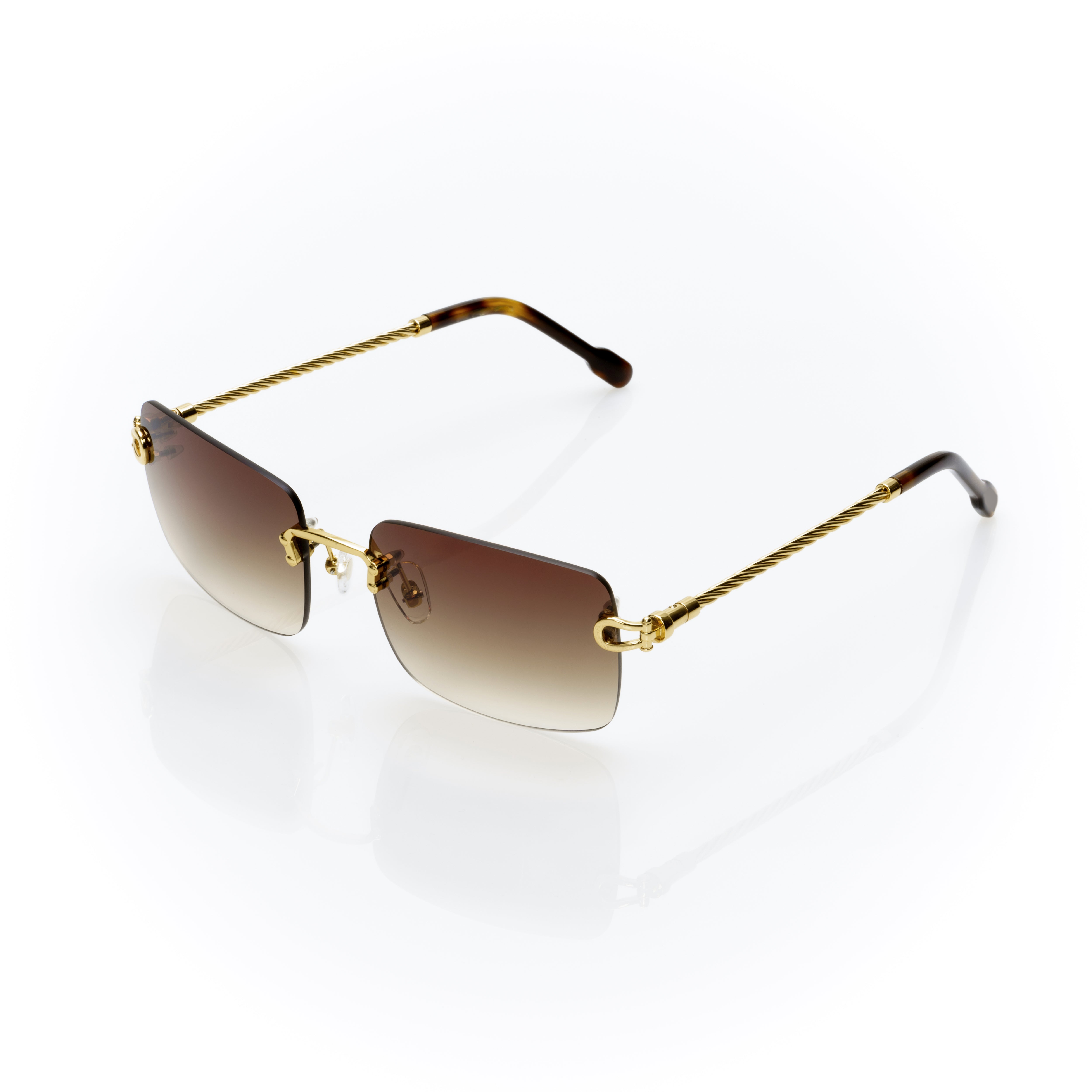 Vision Optik