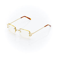 Vision Optik