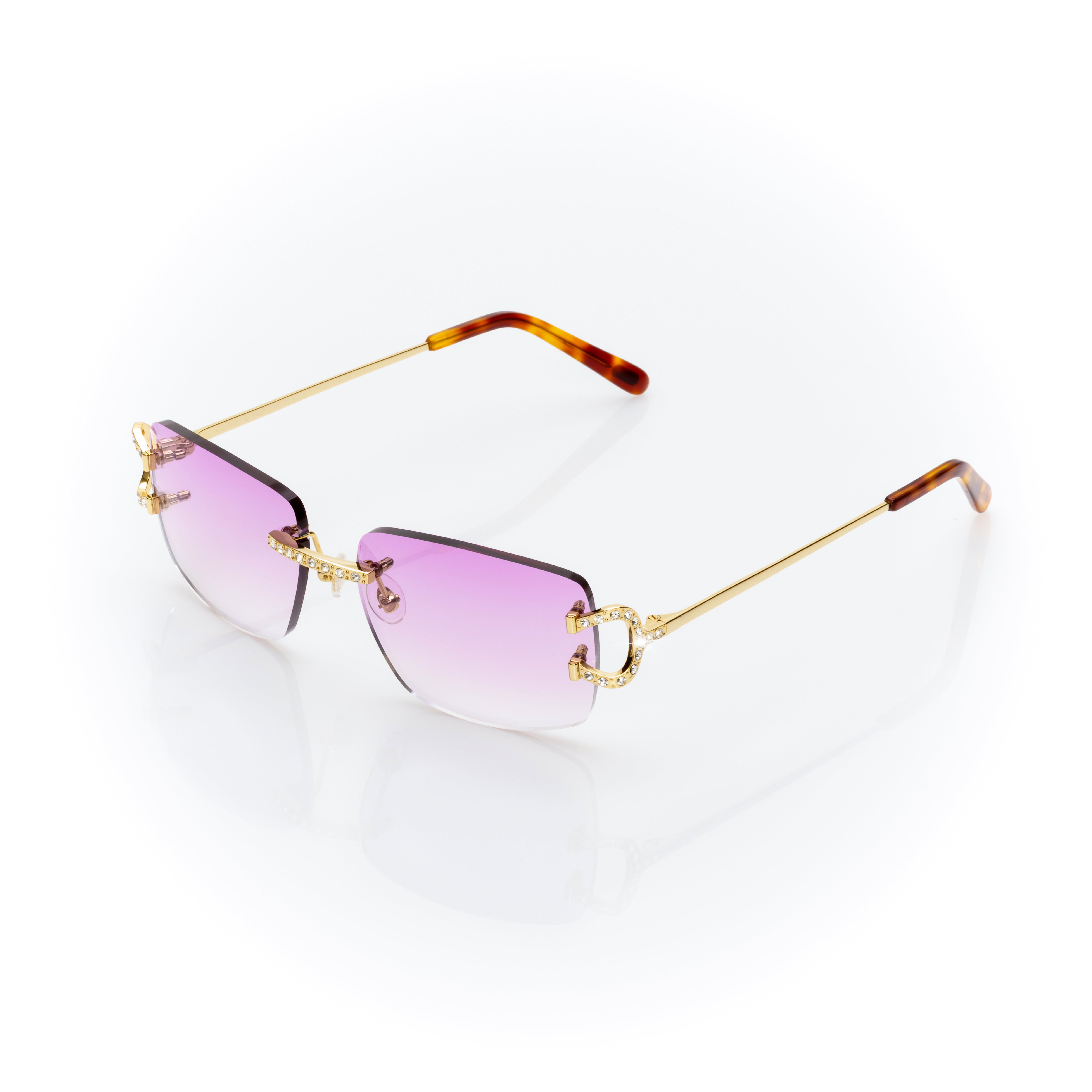 Vision Optik