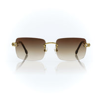Vision Optik