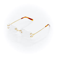 Vision Optik