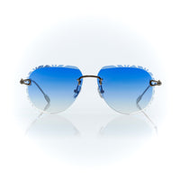Vision Optik