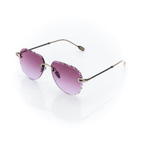 Vision Optik