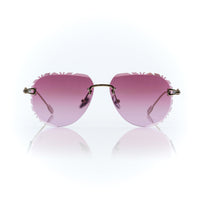 Vision Optik