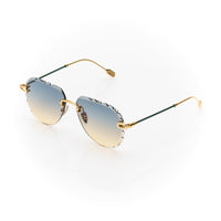 Vision Optik