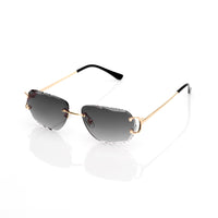 Vision Optik